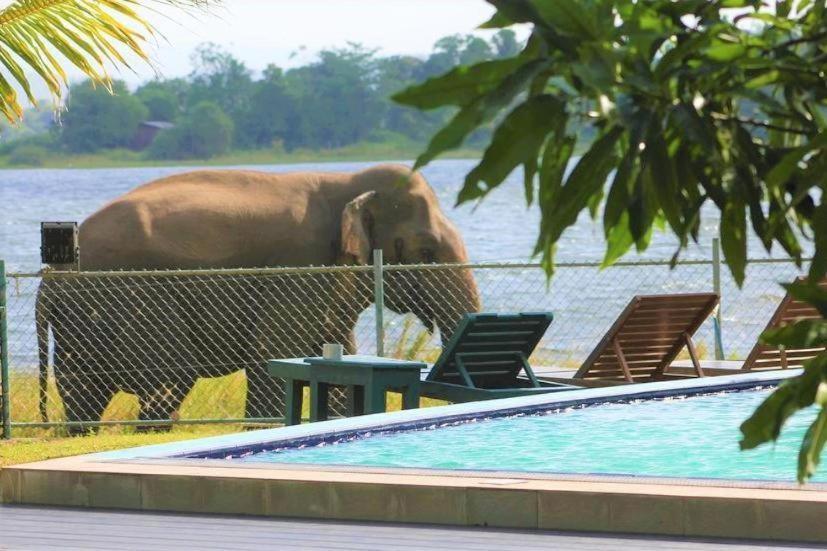 Hotel Lake Park Polonnaruwa Exterior foto